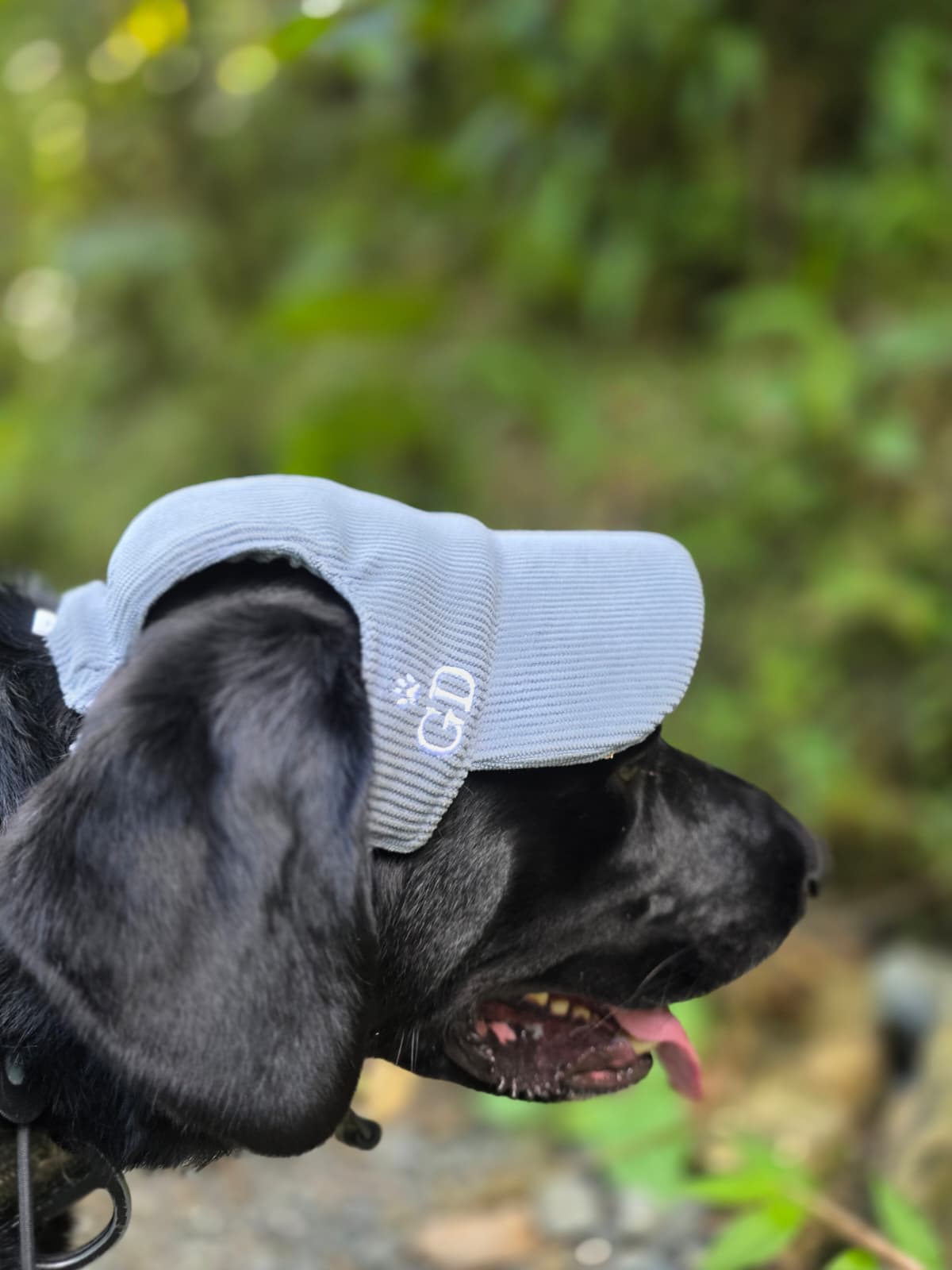 Adventure Dog Corduroy Cap
